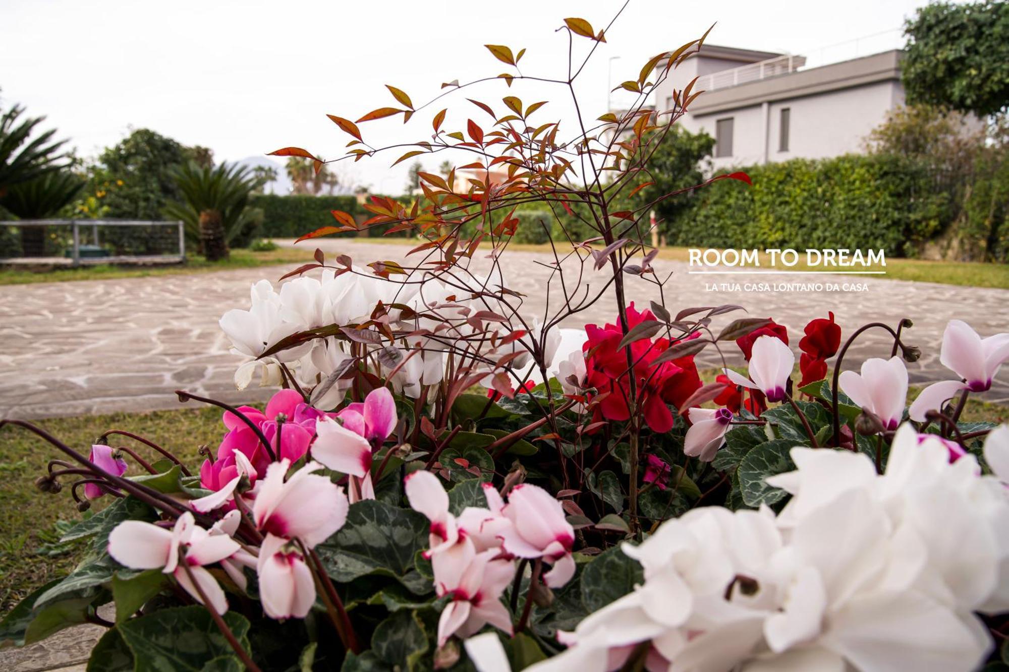 Room To Dream San Valentino Torio Екстер'єр фото